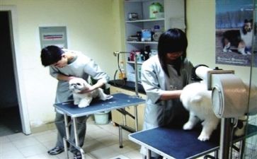 最新医院工作总结范文6篇