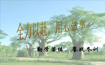 信息技术与应用心得体会优质8篇