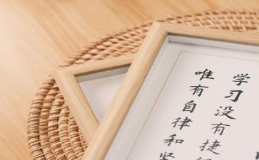 信息技术与应用心得体会优秀5篇