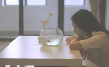 写自己的优点作文8篇