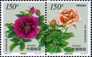 以邮票的作文300字8篇