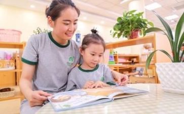 幼师专业工作总结5篇