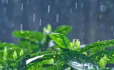 秋天的雨作文400字优秀6篇
