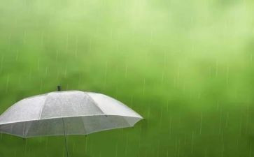 雨中的爱演讲稿8篇