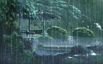 雨的故事作文800字5篇