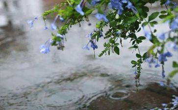 雨科学教案大班反思5篇
