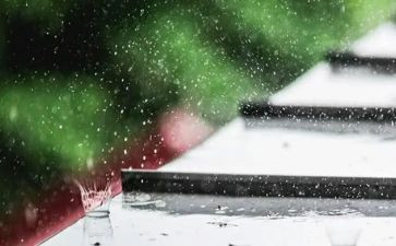 雨中作文500字最新5篇