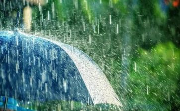 风和雨作文800字通用7篇