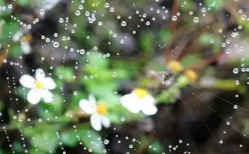 下大雨了作文7篇