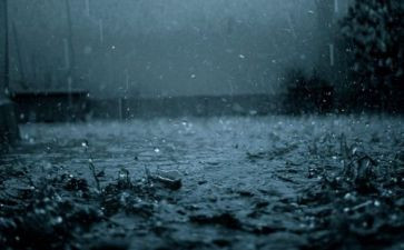 小学关于雨的作文7篇