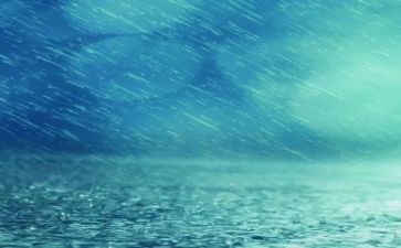 雨中的爱演讲稿模板7篇