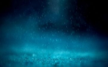 写雨水的作文推荐7篇
