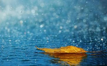 四季的雨作文最新5篇