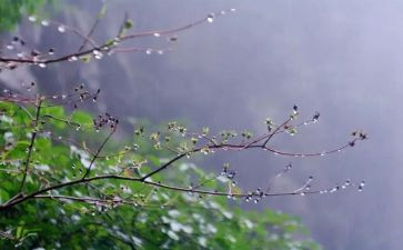描写雨的作文400字5篇