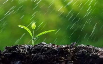二年级的雨作文模板6篇