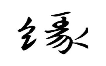 丰子恺的缘的读后感8篇