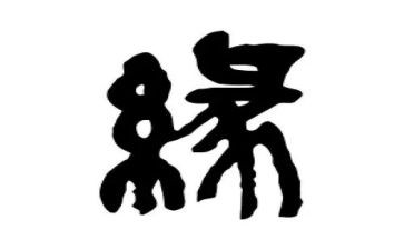 我与__的缘作文精选8篇
