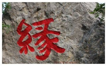 缘600字作文推荐6篇
