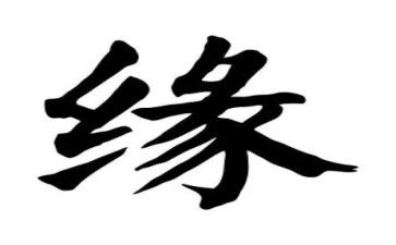 我与__的缘作文通用6篇
