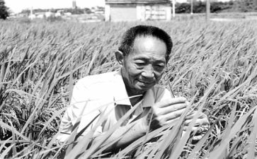 讲袁隆平的演讲稿6篇