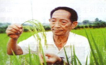 看袁隆平心得8篇