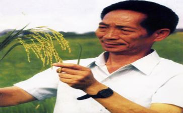 与袁隆平的作文5篇