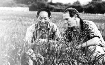 写袁隆平的作文400字参考5篇