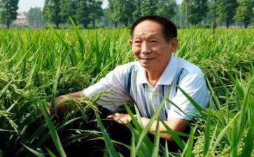 与袁隆平的作文优质8篇