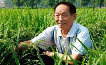 袁隆平演讲稿7篇