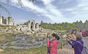 圆明园毁圆明园的毁灭读后感5篇