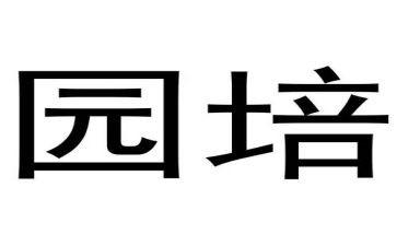 幼儿园培训年度总结5篇