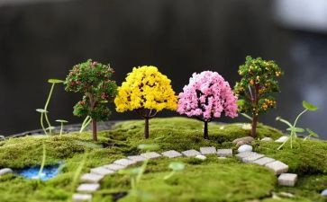 园艺的心得体会8篇