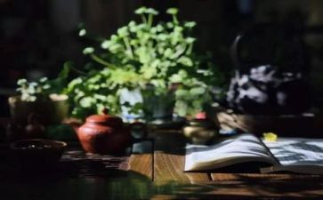 阅读章作文6篇