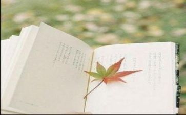 阅读现状调查报告8篇