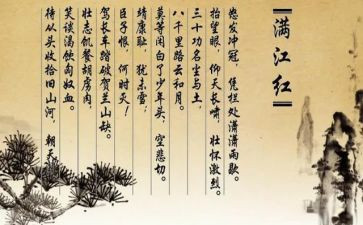 岳飞的读后感8篇