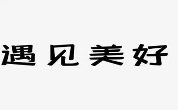 最重要的遇见作文5篇