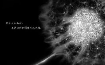 在乎作文500字6篇