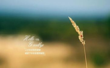 你好再见作文模板7篇
