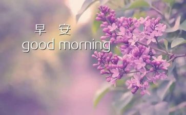 《早》读后感400字参考7篇