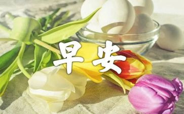 小学生早餐的调查报告7篇