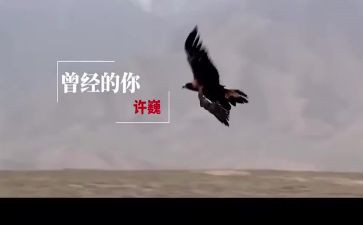 曾经的你作文800字6篇