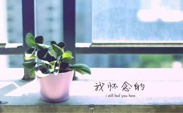 曾经的你作文500字8篇
