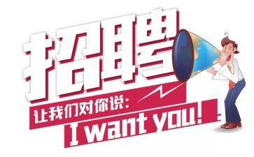 招聘i工作总结优质7篇