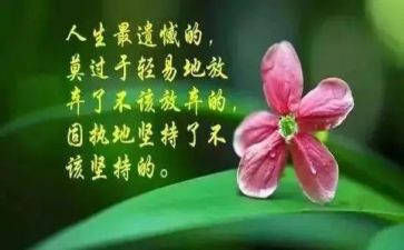 有哲理又幽默的演讲稿5篇