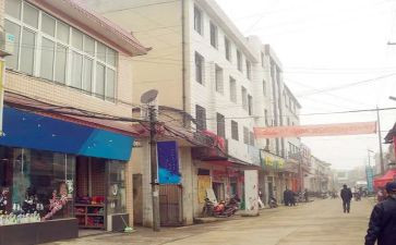 乡镇干调研报告6篇