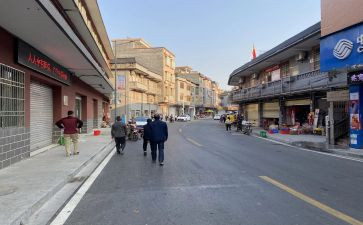 镇上半年工作总结及下半年工作计划5篇