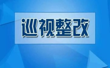 整改动员讲话稿8篇
