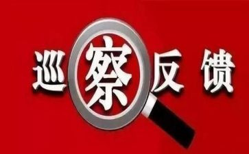 巡察组反馈意见整改报告8篇