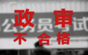 省考政审个人总结7篇
