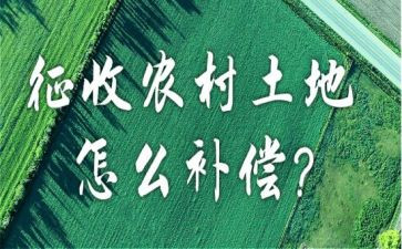 2024年征收个人总结6篇
